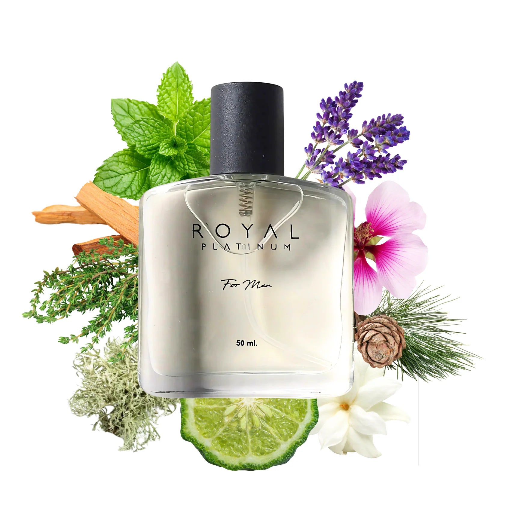 M517 Inspired by BURBERRY - CLASSIC 50 ml