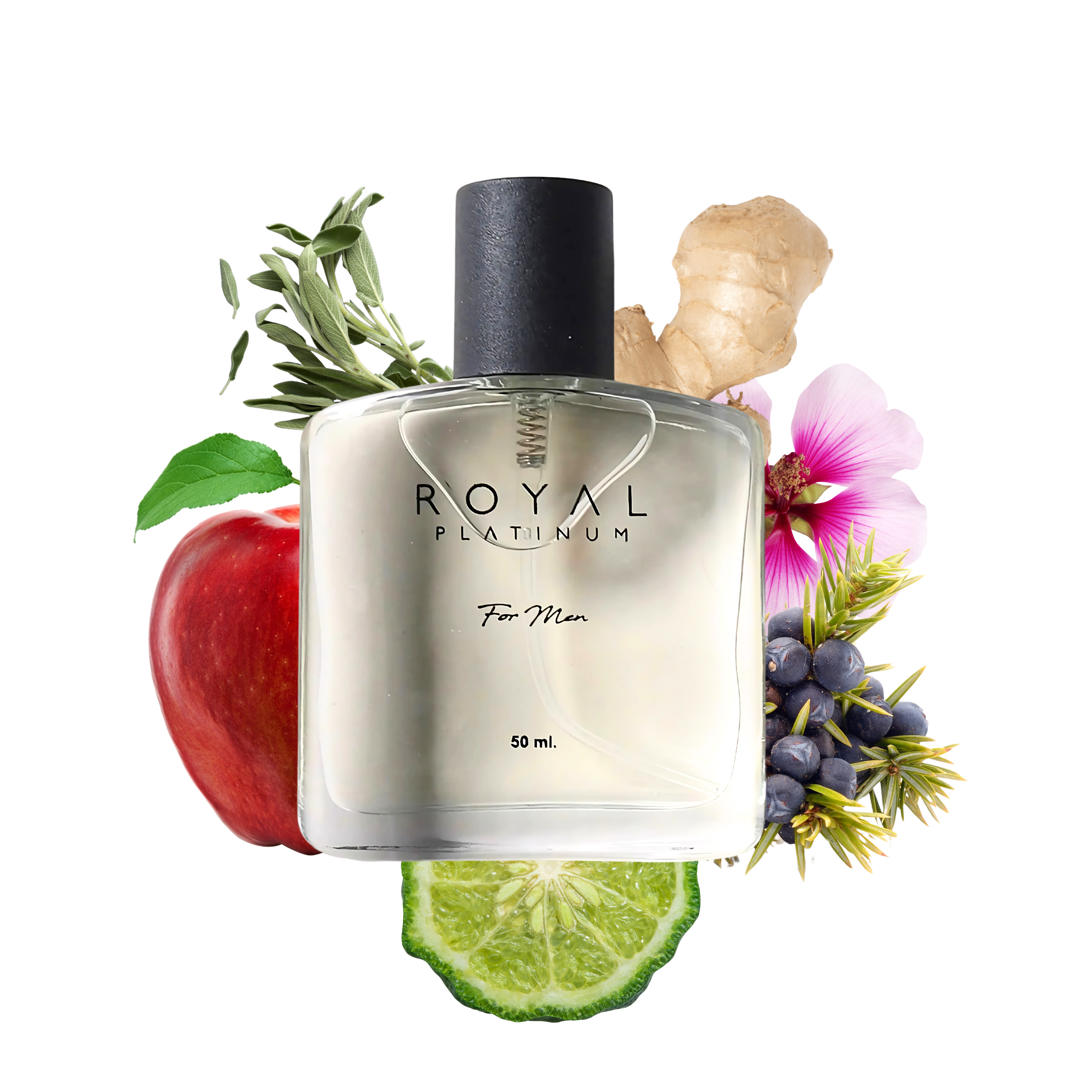 M545 Inspirováno YSL - Y 50 ml