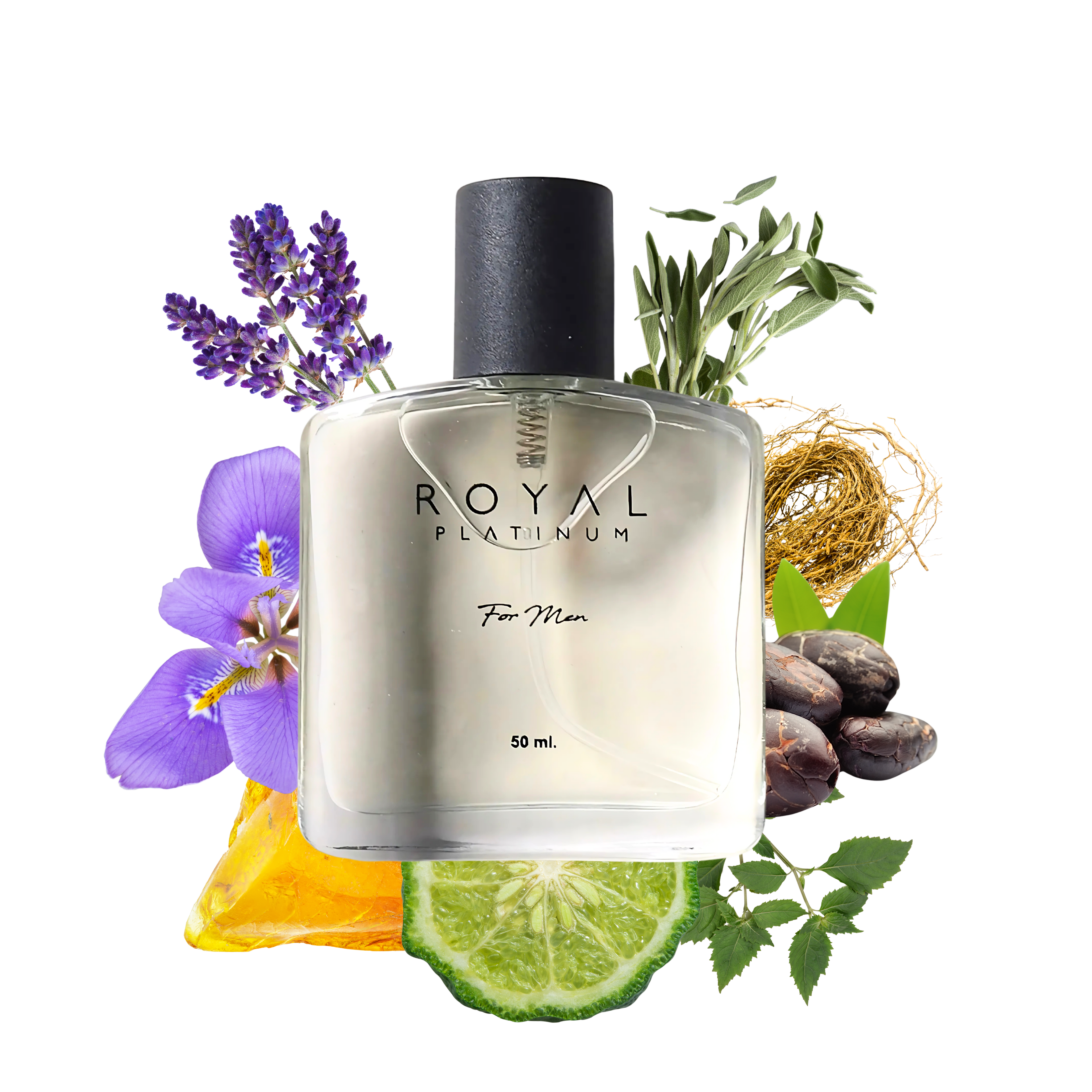 M550 Inspired by CHRISTIAN DIOR - DIOR HOMME 50ml