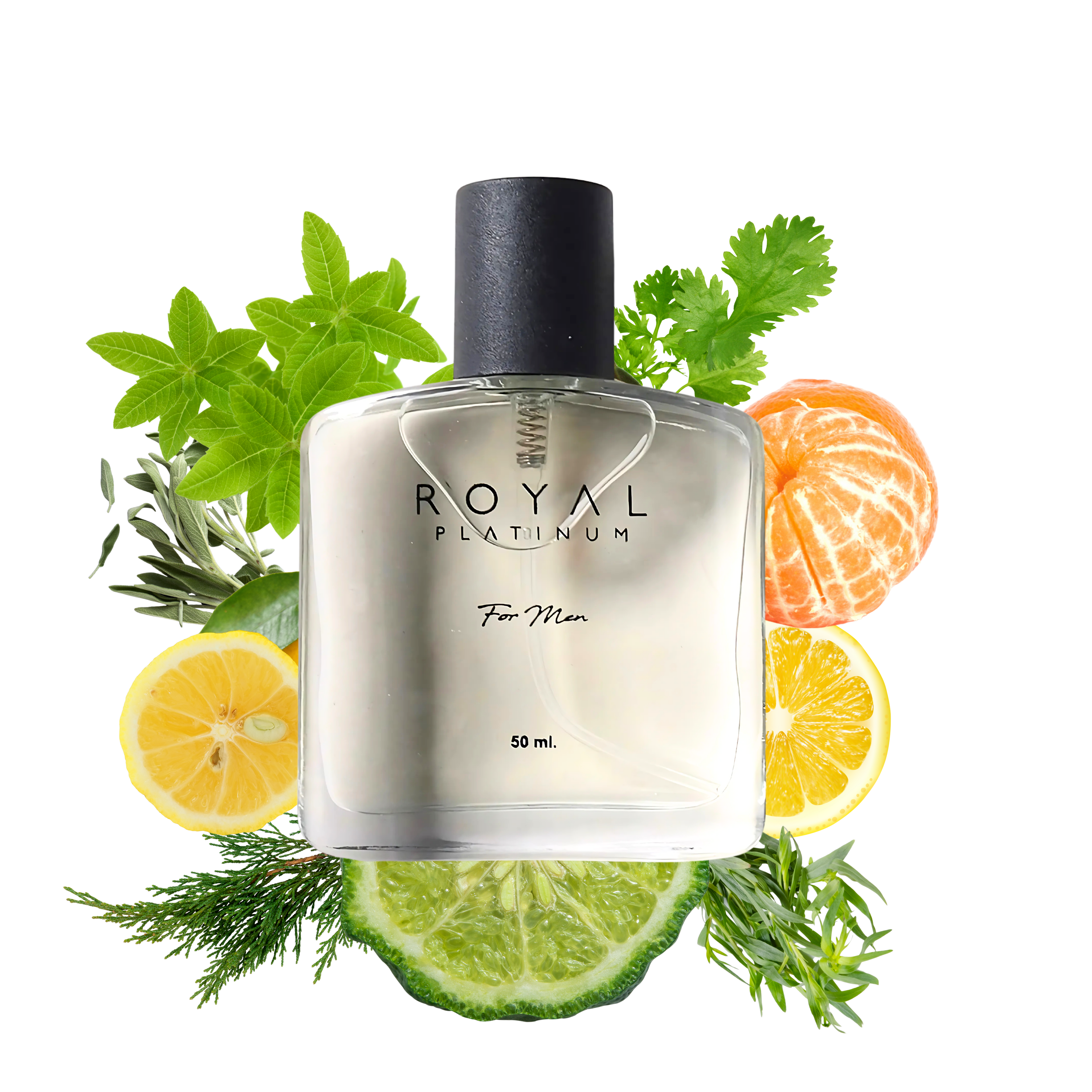 M592 Inspired by ISSEY MIYAKE - L'EAU D'ISSEY 50ml