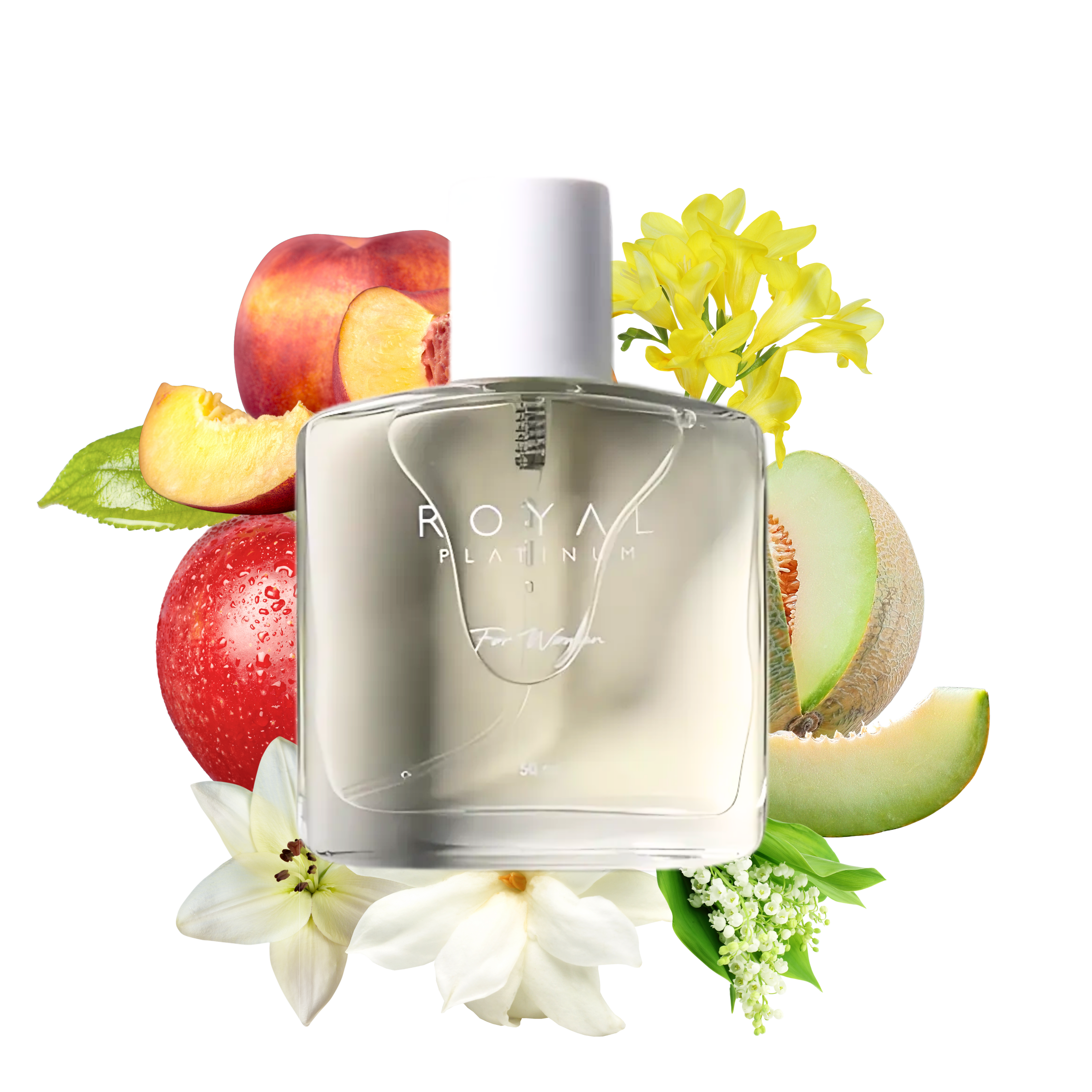 W174 Inspired by PARIS HILTON - PARIS HILTON 50ml