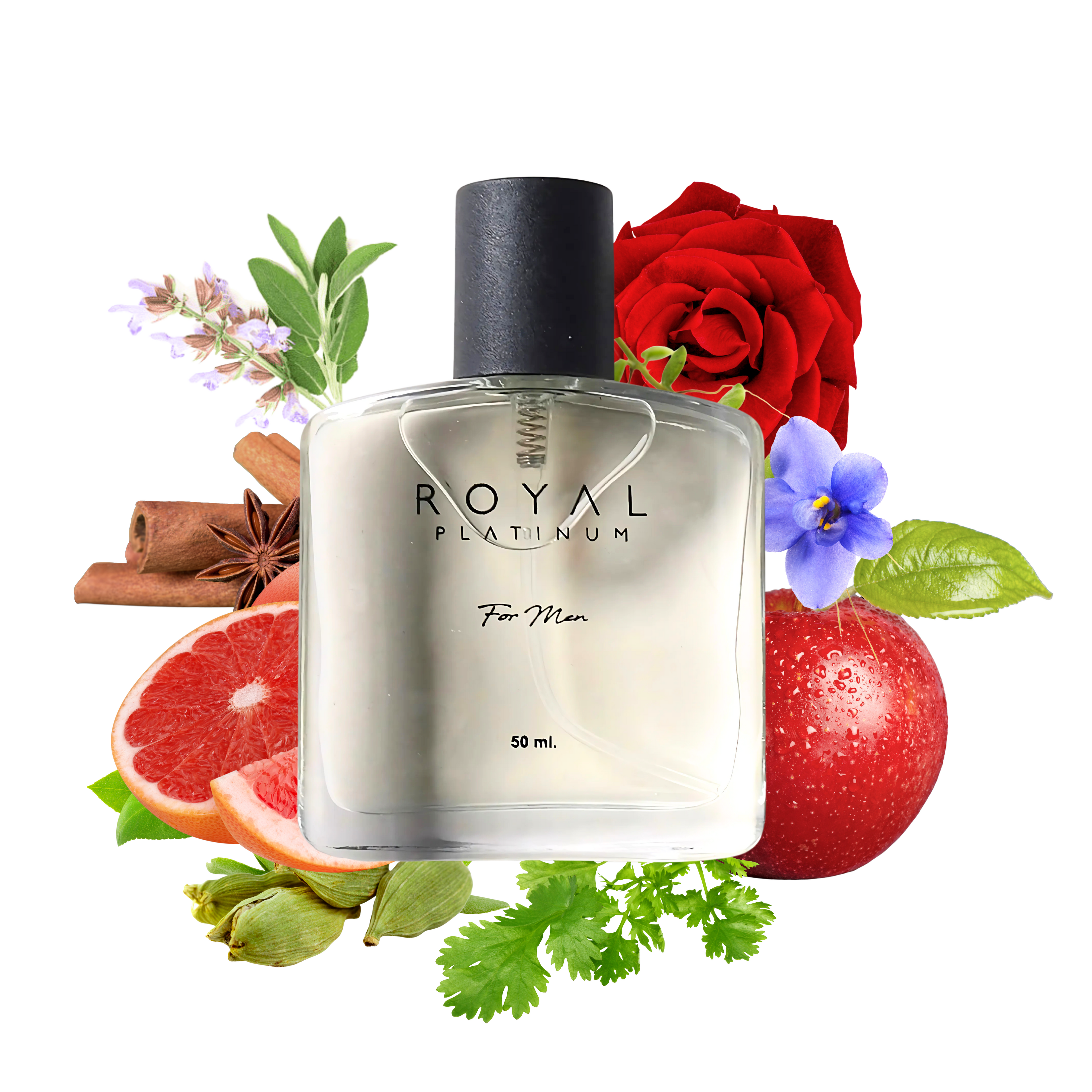 M609 Inspired by MONT BLANC - EMBLEM INTENSE 50ml