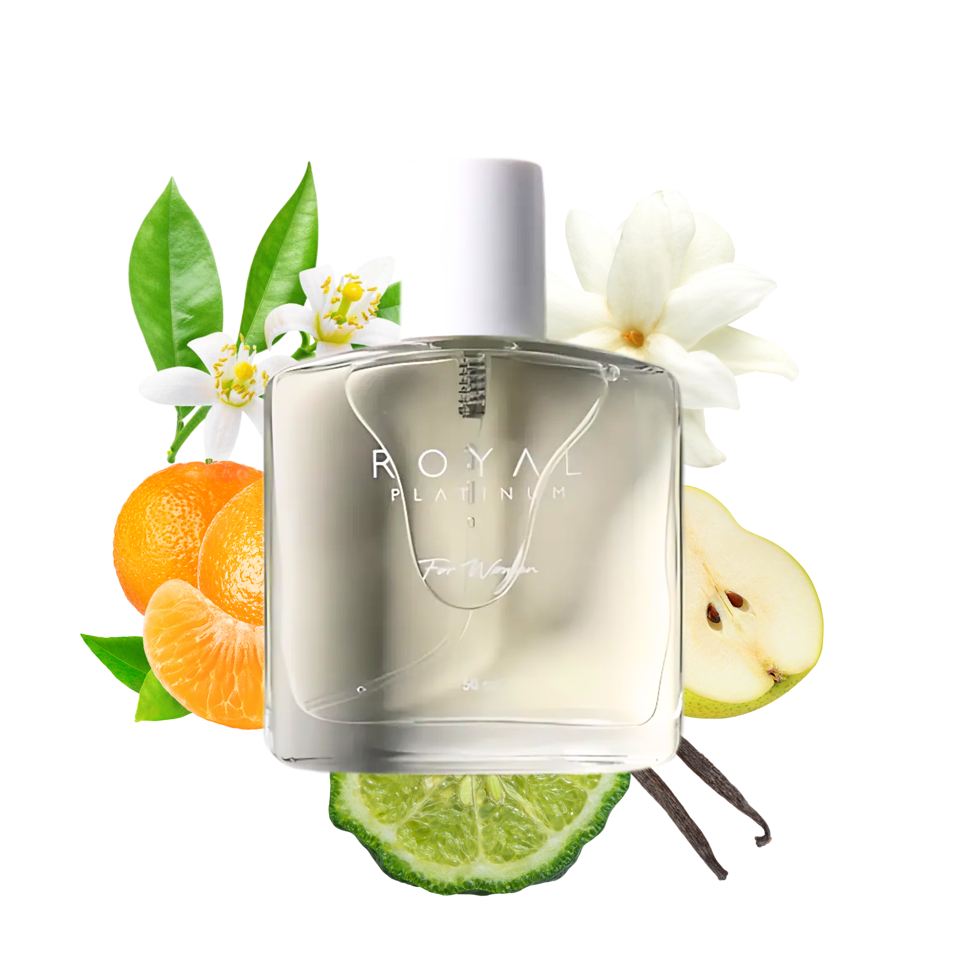 W198 Inspired by PRADA - PARADOX 50ml