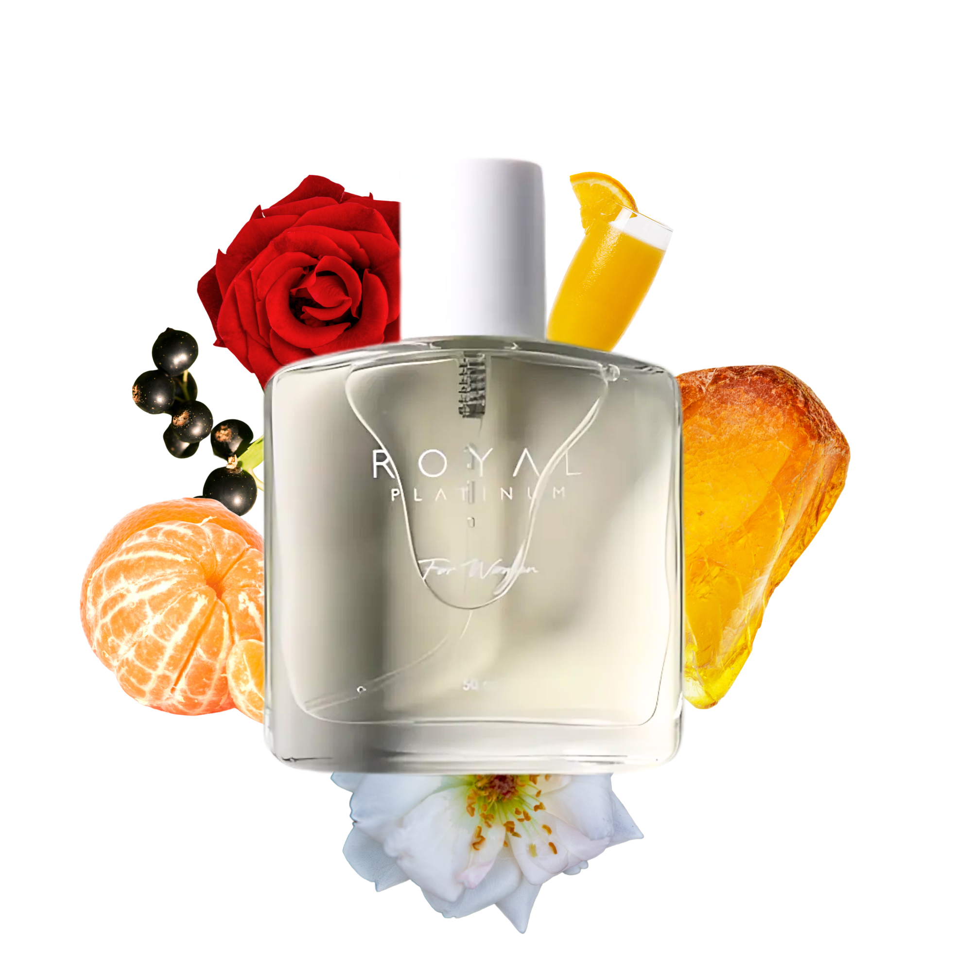 W204 Inspired by ISSEY MIYAKE - L'EAU D'ISSEY 50ml