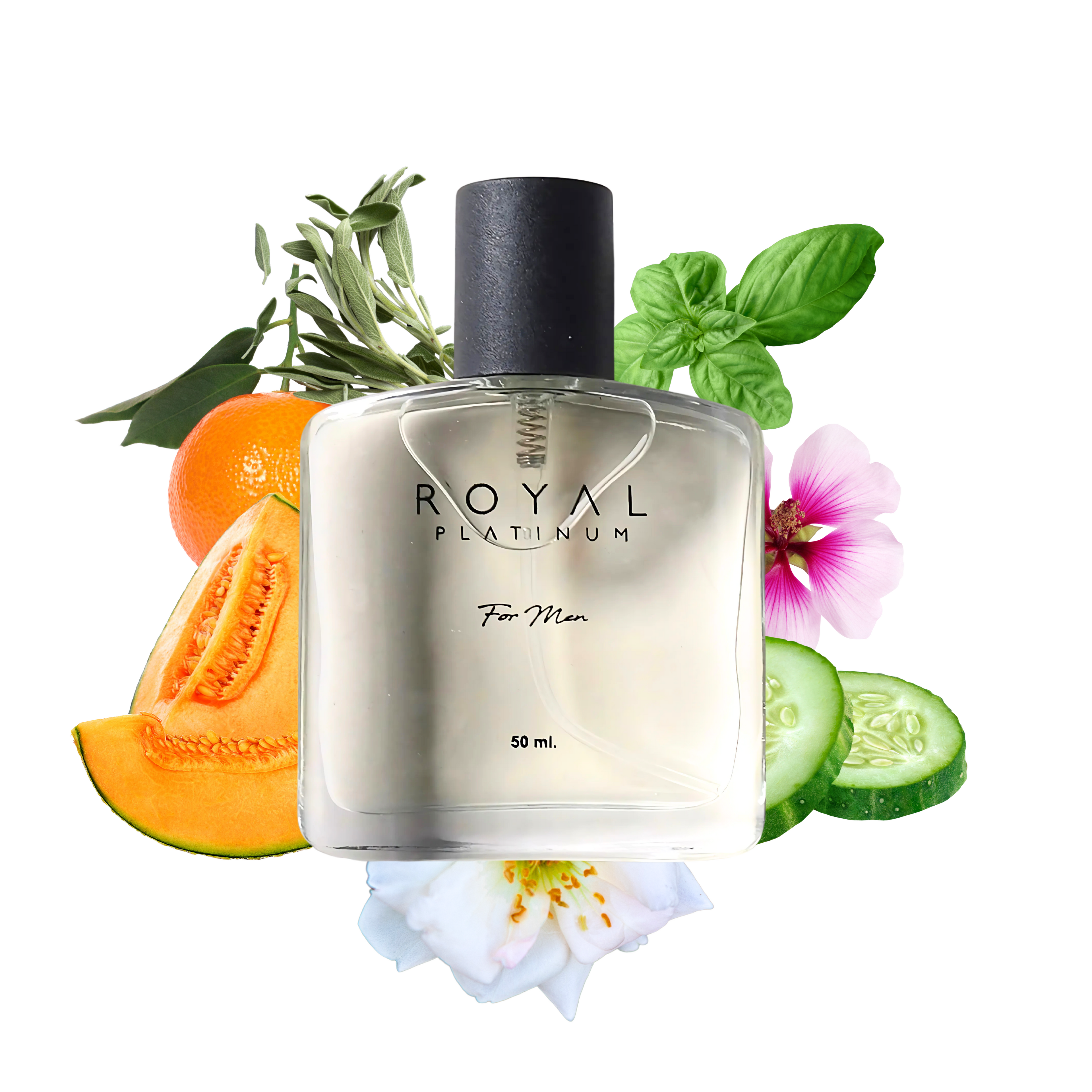 M651 Inspired by POLO - BLUE 50ml