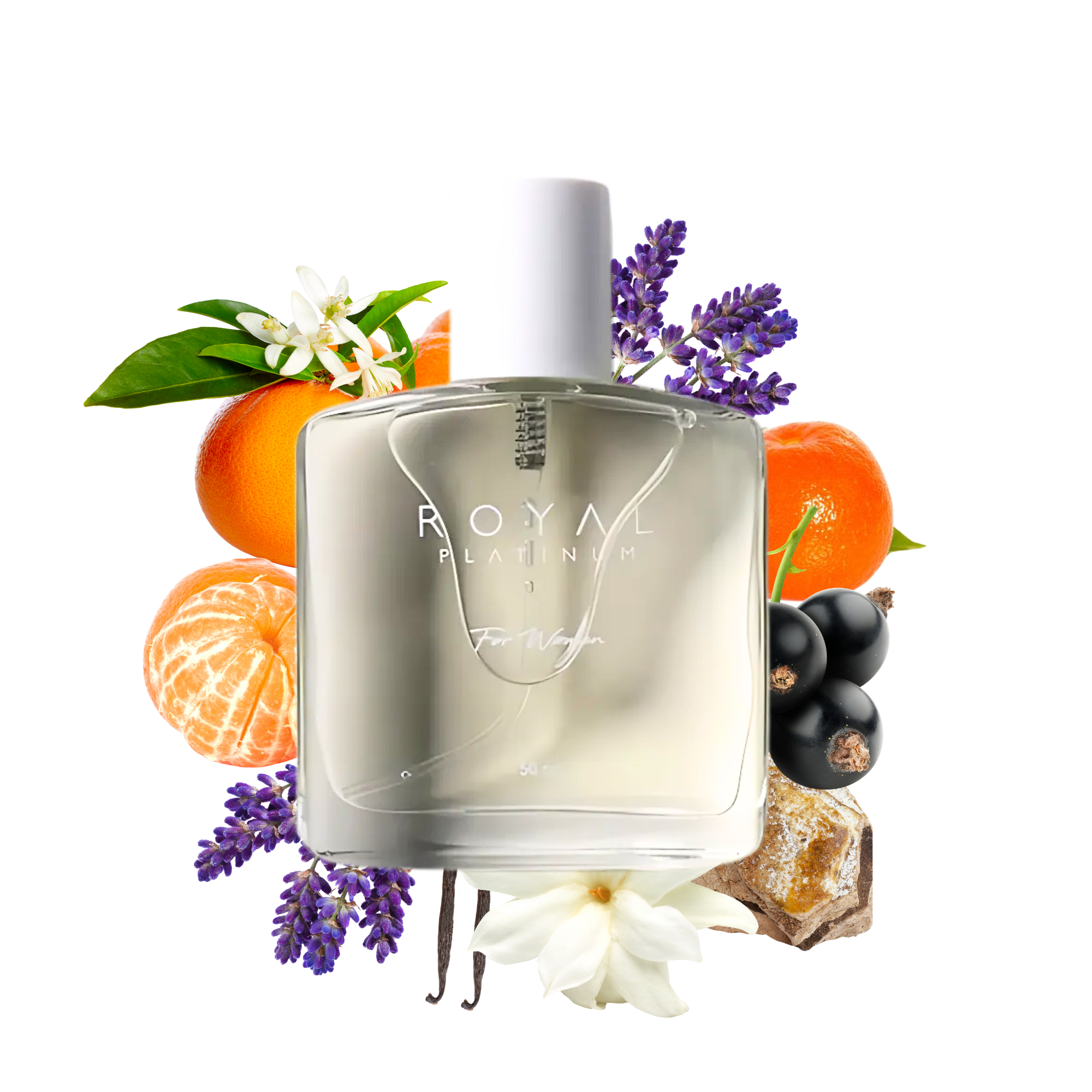 W227 Inspired by YSL - LIBRE 50ml