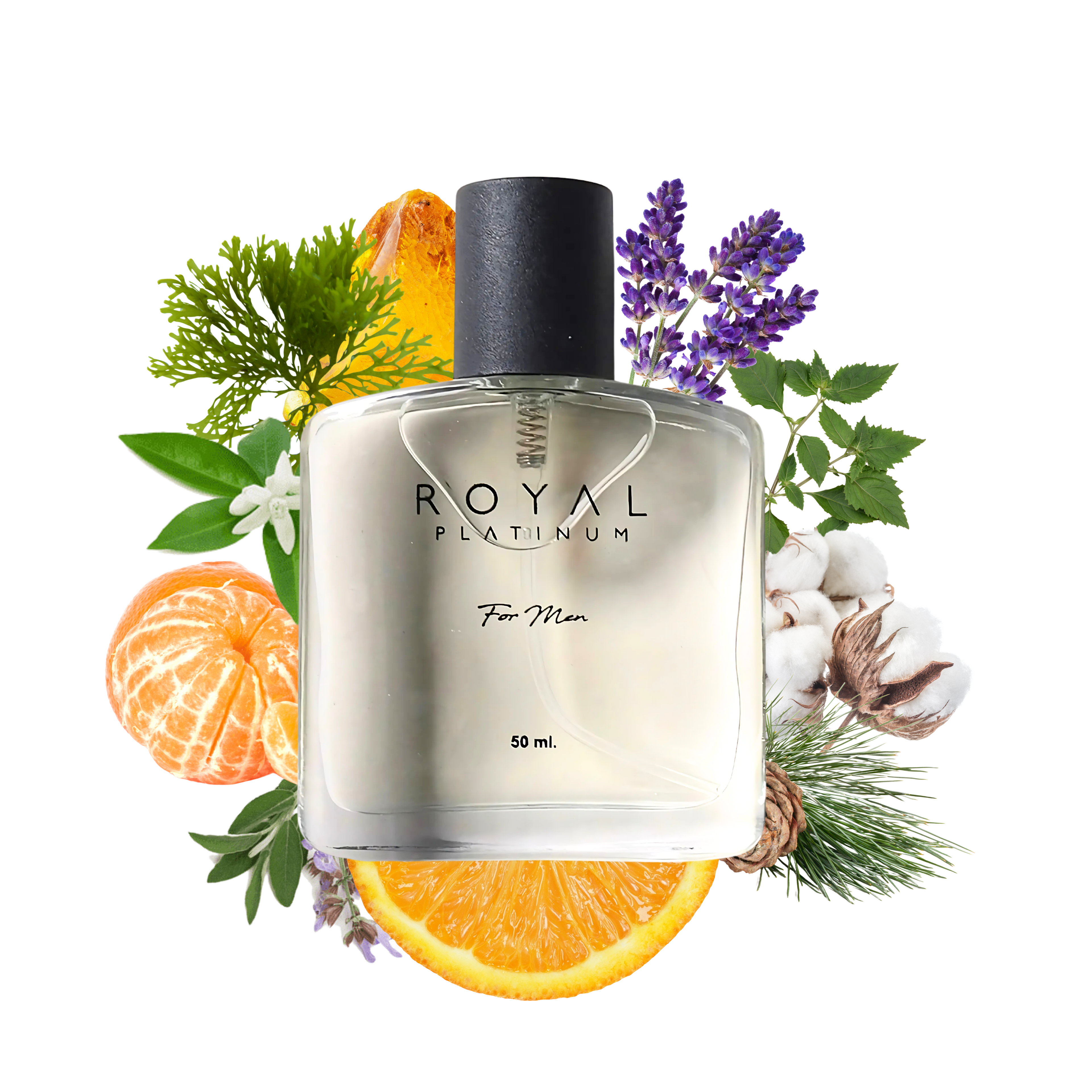 M675 Inspired by BVLGARI - AQVA 50ml