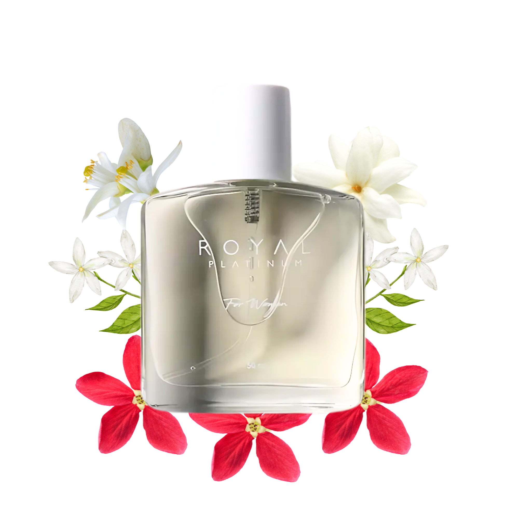 W280 Inspired by GUCCI - BLOOM